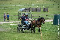 034 D402- MARATHON -ATTELAGE LOUVRES - MARATHON - 28052017-ATE 2537 : 2017, 28 mAI 2017, Concours ATTELAGE 2017, D402, MARATHON, Obstacle 4