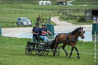 035 D402- MARATHON -ATTELAGE LOUVRES - MARATHON - 28052017-ATE 2538 : 2017, 28 mAI 2017, Concours ATTELAGE 2017, D402, MARATHON, Obstacle 4