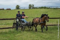 038 D402- MARATHON -ATTELAGE LOUVRES - MARATHON - 28052017-ATE 2541 : 2017, 28 mAI 2017, Concours ATTELAGE 2017, D402, MARATHON, Obstacle 4