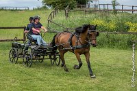 039 D402- MARATHON -ATTELAGE LOUVRES - MARATHON - 28052017-ATE 2542 : 2017, 28 mAI 2017, Concours ATTELAGE 2017, D402, MARATHON, Obstacle 4