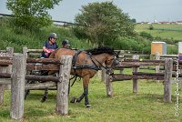 043 D402- MARATHON -ATTELAGE LOUVRES - MARATHON - 28052017-ATE 2546 : 2017, 28 mAI 2017, Concours ATTELAGE 2017, D402, MARATHON, Obstacle 4