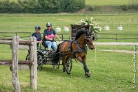 045 D402- MARATHON -ATTELAGE LOUVRES - MARATHON - 28052017-ATE 2548 : 2017, 28 mAI 2017, Concours ATTELAGE 2017, D402, MARATHON, Obstacle 4