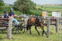 049 D402- MARATHON -ATTELAGE LOUVRES - MARATHON - 28052017-ATE 2552 : 2017, 28 mAI 2017, Concours ATTELAGE 2017, D402, MARATHON, Obstacle 4