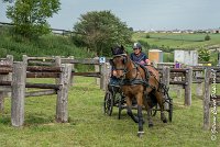 050 D402- MARATHON -ATTELAGE LOUVRES - MARATHON - 28052017-ATE 2553 : 2017, 28 mAI 2017, Concours ATTELAGE 2017, D402, MARATHON, Obstacle 4