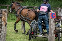 052 D402- MARATHON -ATTELAGE LOUVRES - MARATHON - 28052017-ATE 2555 : 2017, 28 mAI 2017, Concours ATTELAGE 2017, D402, MARATHON, Obstacle 4