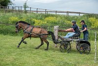 056 D402- MARATHON -ATTELAGE LOUVRES - MARATHON - 28052017-ATE 2559 : 2017, 28 mAI 2017, Concours ATTELAGE 2017, D402, MARATHON, Obstacle 4