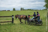 057 D402- MARATHON -ATTELAGE LOUVRES - MARATHON - 28052017-ATE 2560 : 2017, 28 mAI 2017, Concours ATTELAGE 2017, D402, MARATHON, Obstacle 4