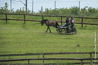 058 D402- MARATHON -ATTELAGE LOUVRES - MARATHON - 28052017-ATE 2561 : 2017, 28 mAI 2017, Concours ATTELAGE 2017, D402, MARATHON, Obstacle 4