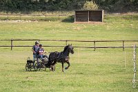 001 D403-ATTELAGE LOUVRES - MARATHON - 28052017-ATE 1555 : 2017, 28 mAI 2017, Concours ATTELAGE 2017, D403, MARATHON, Obstacle 1