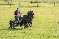 002 D403-ATTELAGE LOUVRES - MARATHON - 28052017-ATE 1566 : 2017, 28 mAI 2017, Concours ATTELAGE 2017, D403, MARATHON, Obstacle 1