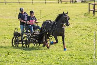 003 D403-ATTELAGE LOUVRES - MARATHON - 28052017-ATE 1567 : 2017, 28 mAI 2017, Concours ATTELAGE 2017, D403, MARATHON, Obstacle 1