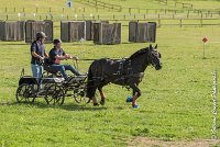 011 D403-ATTELAGE LOUVRES - MARATHON - 28052017-ATE 1586 : 2017, 28 mAI 2017, Concours ATTELAGE 2017, D403, MARATHON