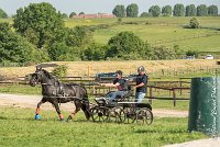 012 D403-ATTELAGE LOUVRES - MARATHON - 28052017-ATE 1593 : 2017, 28 mAI 2017, Concours ATTELAGE 2017, D403, MARATHON, Obstacle 3