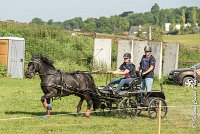 013 D403-ATTELAGE LOUVRES - MARATHON - 28052017-ATE 1594 : 2017, 28 mAI 2017, Concours ATTELAGE 2017, D403, MARATHON, Obstacle 3