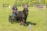 015 D403-ATTELAGE LOUVRES - MARATHON - 28052017-ATE 1596 : 2017, 28 mAI 2017, Concours ATTELAGE 2017, D403, MARATHON, Obstacle 3