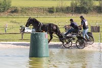 020 D403-ATTELAGE LOUVRES - MARATHON - 28052017-ATE 1601 : 2017, 28 mAI 2017, Concours ATTELAGE 2017, D403, MARATHON, Obstacle 3