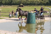 021 D403-ATTELAGE LOUVRES - MARATHON - 28052017-ATE 1602 : 2017, 28 mAI 2017, Concours ATTELAGE 2017, D403, MARATHON, Obstacle 3