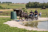 022 D403-ATTELAGE LOUVRES - MARATHON - 28052017-ATE 1603 : 2017, 28 mAI 2017, Concours ATTELAGE 2017, D403, MARATHON, Obstacle 3