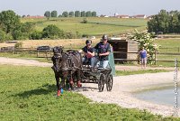 023 D403-ATTELAGE LOUVRES - MARATHON - 28052017-ATE 1604 : 2017, 28 mAI 2017, Concours ATTELAGE 2017, D403, MARATHON, Obstacle 3