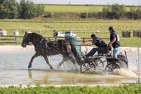 027 D403-ATTELAGE LOUVRES - MARATHON - 28052017-ATE 1608 : 2017, 28 mAI 2017, Concours ATTELAGE 2017, D403, MARATHON, Obstacle 3