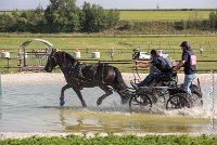 028 D403-ATTELAGE LOUVRES - MARATHON - 28052017-ATE 1609 : 2017, 28 mAI 2017, Concours ATTELAGE 2017, D403, MARATHON, Obstacle 3