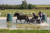 029 D403-ATTELAGE LOUVRES - MARATHON - 28052017-ATE 1610 : 2017, 28 mAI 2017, Concours ATTELAGE 2017, D403, MARATHON, Obstacle 3