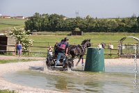 033 D403-ATTELAGE LOUVRES - MARATHON - 28052017-ATE 1614 : 2017, 28 mAI 2017, Concours ATTELAGE 2017, D403, MARATHON, Obstacle 3