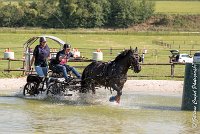 037 D403-ATTELAGE LOUVRES - MARATHON - 28052017-ATE 1618 : 2017, 28 mAI 2017, Concours ATTELAGE 2017, D403, MARATHON, Obstacle 3