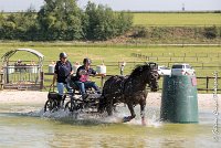 039 D403-ATTELAGE LOUVRES - MARATHON - 28052017-ATE 1620 : 2017, 28 mAI 2017, Concours ATTELAGE 2017, D403, MARATHON, Obstacle 3