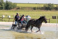 040 D403-ATTELAGE LOUVRES - MARATHON - 28052017-ATE 1621 : 2017, 28 mAI 2017, Concours ATTELAGE 2017, D403, MARATHON, Obstacle 3