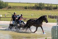 041 D403-ATTELAGE LOUVRES - MARATHON - 28052017-ATE 1622 : 2017, 28 mAI 2017, Concours ATTELAGE 2017, D403, MARATHON, Obstacle 3