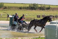 042 D403-ATTELAGE LOUVRES - MARATHON - 28052017-ATE 1623 : 2017, 28 mAI 2017, Concours ATTELAGE 2017, D403, MARATHON, Obstacle 3