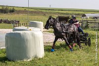 044 D403-ATTELAGE LOUVRES - MARATHON - 28052017-ATE 1625 : 2017, 28 mAI 2017, Concours ATTELAGE 2017, D403, MARATHON, Obstacle 3