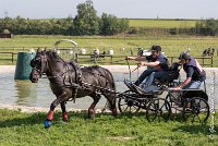 045 D403-ATTELAGE LOUVRES - MARATHON - 28052017-ATE 1626 : 2017, 28 mAI 2017, Concours ATTELAGE 2017, D403, MARATHON, Obstacle 3