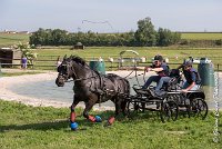 046 D403-ATTELAGE LOUVRES - MARATHON - 28052017-ATE 1627 : 2017, 28 mAI 2017, Concours ATTELAGE 2017, D403, MARATHON, Obstacle 3