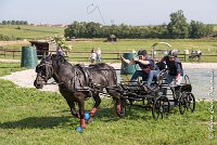 047 D403-ATTELAGE LOUVRES - MARATHON - 28052017-ATE 1628 : 2017, 28 mAI 2017, Concours ATTELAGE 2017, D403, MARATHON, Obstacle 3