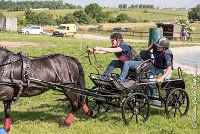 049 D403-ATTELAGE LOUVRES - MARATHON - 28052017-ATE 1630 : 2017, 28 mAI 2017, Concours ATTELAGE 2017, D403, MARATHON, Obstacle 3