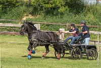 051 D403-ATTELAGE LOUVRES - MARATHON - 28052017-ATE 1670 : 2017, 28 mAI 2017, Concours ATTELAGE 2017, D403, MARATHON, Obstacle 4