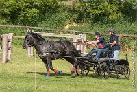 052 D403-ATTELAGE LOUVRES - MARATHON - 28052017-ATE 1671 : 2017, 28 mAI 2017, Concours ATTELAGE 2017, D403, MARATHON, Obstacle 4