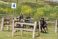 054 D403-ATTELAGE LOUVRES - MARATHON - 28052017-ATE 1673 : 2017, 28 mAI 2017, Concours ATTELAGE 2017, D403, MARATHON, Obstacle 4