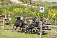 056 D403-ATTELAGE LOUVRES - MARATHON - 28052017-ATE 1675 : 2017, 28 mAI 2017, Concours ATTELAGE 2017, D403, MARATHON, Obstacle 4