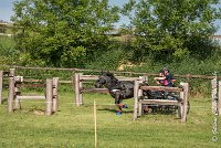 058 D403-ATTELAGE LOUVRES - MARATHON - 28052017-ATE 1677 : 2017, 28 mAI 2017, Concours ATTELAGE 2017, D403, MARATHON, Obstacle 4