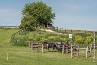 059 D403-ATTELAGE LOUVRES - MARATHON - 28052017-ATE 1678 : 2017, 28 mAI 2017, Concours ATTELAGE 2017, D403, MARATHON, Obstacle 4