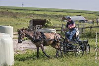 063 D403-ATTELAGE LOUVRES - MARATHON - 28052017-ATE 1665 : 2017, 28 mAI 2017, Concours ATTELAGE 2017, D403, MARATHON, Obstacle 3