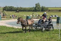 064 D403-ATTELAGE LOUVRES - MARATHON - 28052017-ATE 1666 : 2017, 28 mAI 2017, Concours ATTELAGE 2017, D403, MARATHON, Obstacle 3