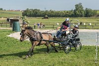 065 D403-ATTELAGE LOUVRES - MARATHON - 28052017-ATE 1667 : 2017, 28 mAI 2017, Concours ATTELAGE 2017, D403, MARATHON, Obstacle 3