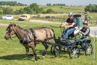 066 D403-ATTELAGE LOUVRES - MARATHON - 28052017-ATE 1668 : 2017, 28 mAI 2017, Concours ATTELAGE 2017, D403, MARATHON, Obstacle 3