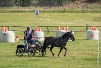 067 D403-ATTELAGE LOUVRES - MARATHON - 28052017-ATE 1556 : 2017, 28 mAI 2017, Concours ATTELAGE 2017, D403, MARATHON, Obstacle 1