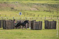 068 D403-ATTELAGE LOUVRES - MARATHON - 28052017-ATE 1558 : 2017, 28 mAI 2017, Concours ATTELAGE 2017, D403, MARATHON, Obstacle 1