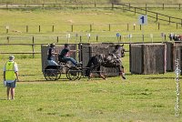 072 D403-ATTELAGE LOUVRES - MARATHON - 28052017-ATE 1563 : 2017, 28 mAI 2017, Concours ATTELAGE 2017, D403, MARATHON, Obstacle 1